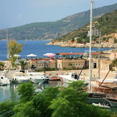 Margarita Kalkan