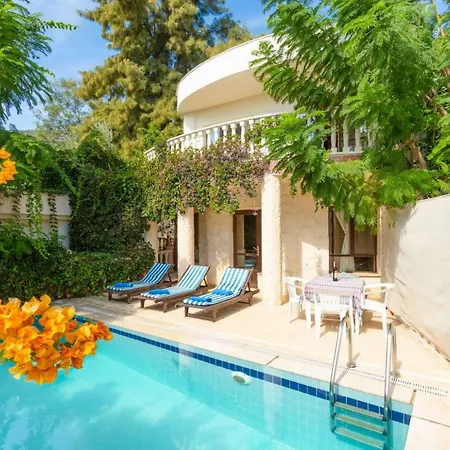 Margarita * Kalkan